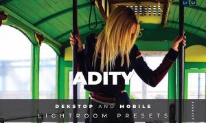 Adity Desktop and Mobile Lightroom Preset