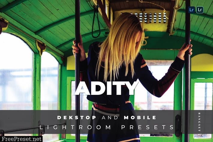 Adity Desktop and Mobile Lightroom Preset