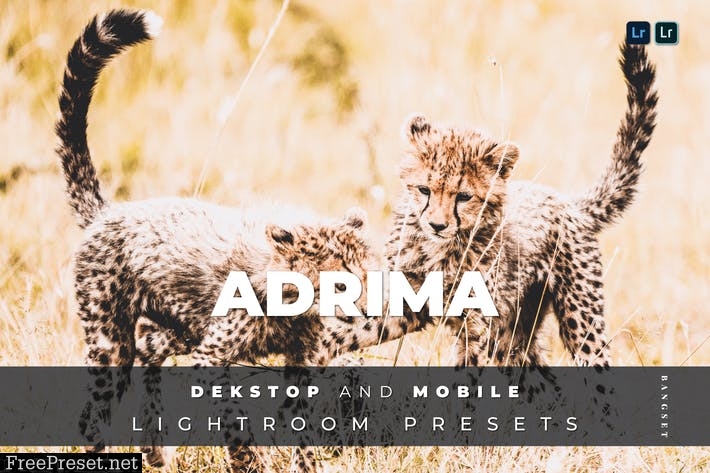 Adrima Desktop and Mobile Lightroom Preset