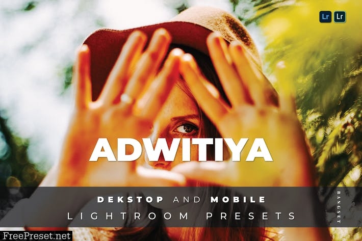 Adwitiya Desktop and Mobile Lightroom Preset