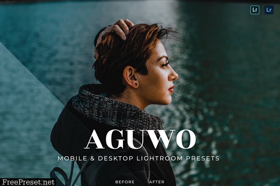 Aguwo Mobile and Desktop Lightroom Presets