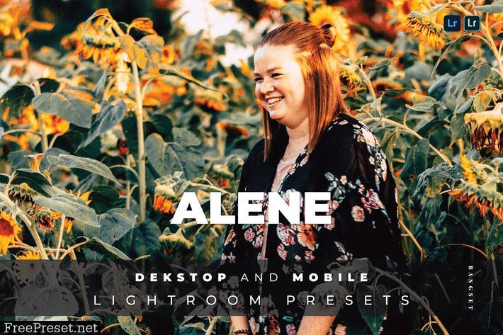 Alene Desktop and Mobile Lightroom Preset