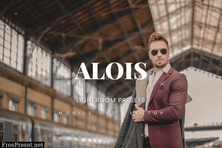 Alois Lightroom Presets Dekstop and Mobile