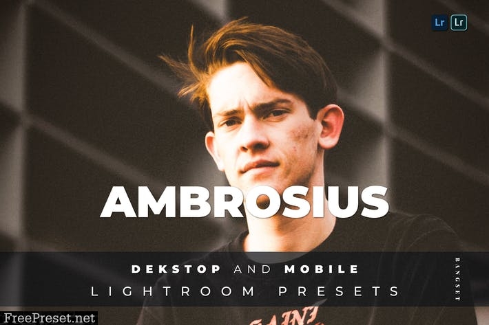 Ambrosius Desktop and Mobile Lightroom Preset