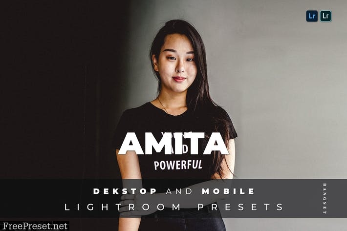 Amita Desktop and Mobile Lightroom Preset