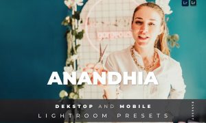 Anandhia Desktop and Mobile Lightroom Preset