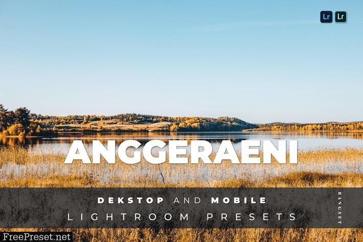 Anggeraini Desktop and Mobile Lightroom Preset