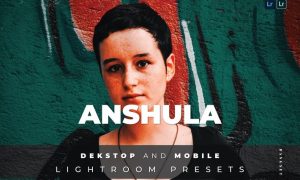 Anshula Desktop and Mobile Lightroom Preset