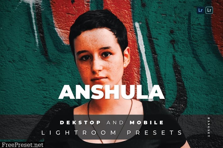 Anshula Desktop and Mobile Lightroom Preset