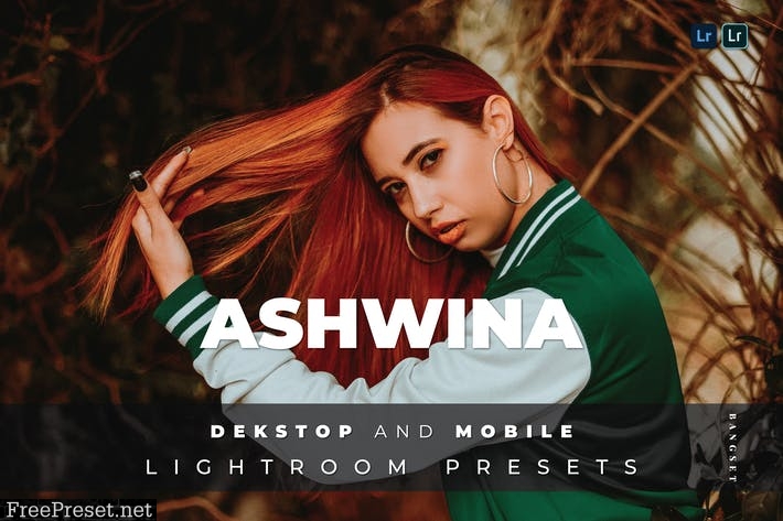 Ashwina Desktop and Mobile Lightroom Preset