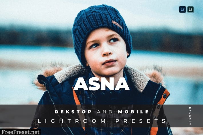 Asna Desktop and Mobile Lightroom Preset