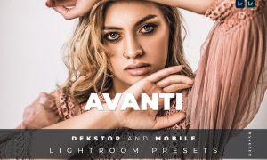 Avanti Desktop and Mobile Lightroom Preset