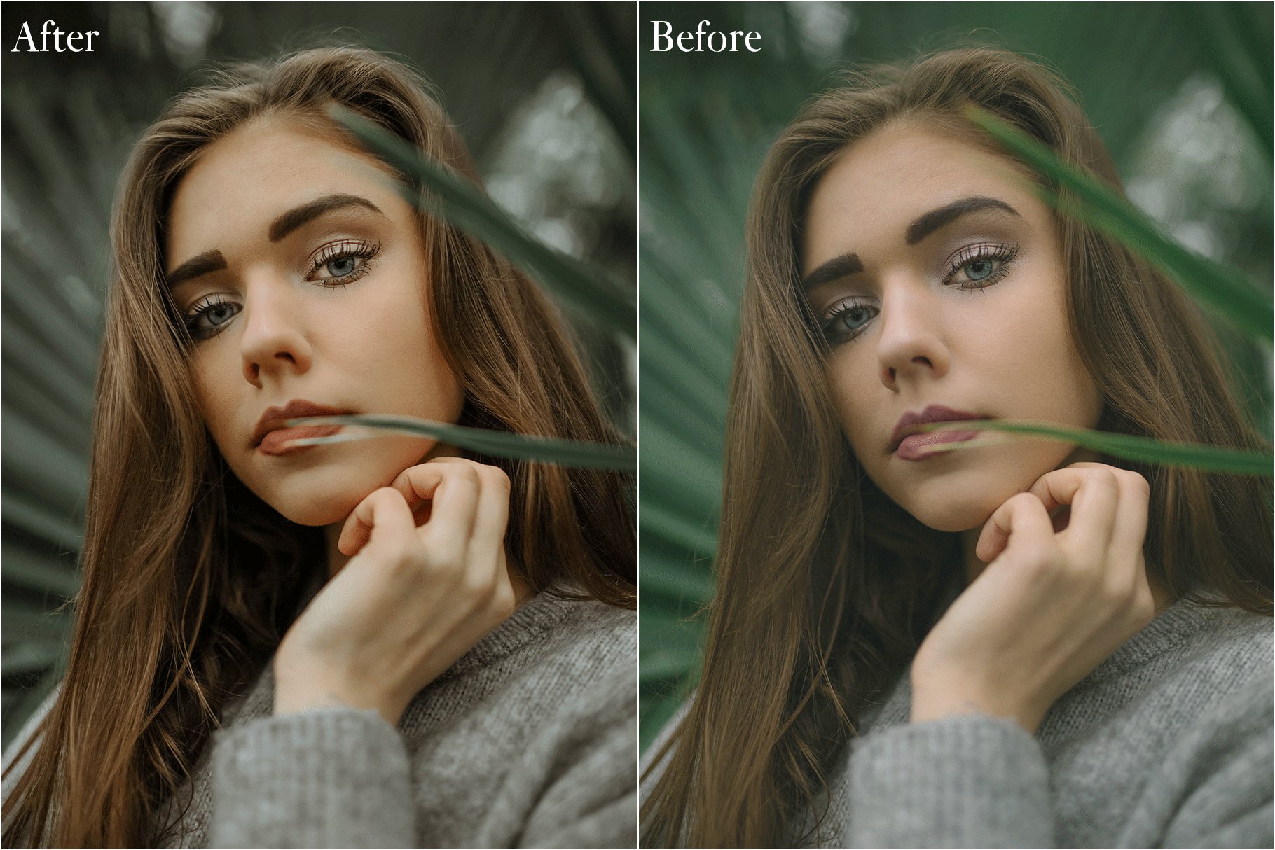 AVOCCADO LIGHTROOM PRESETS 6243280