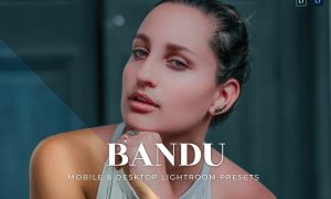Bandu Mobile and Desktop Lightroom Presets