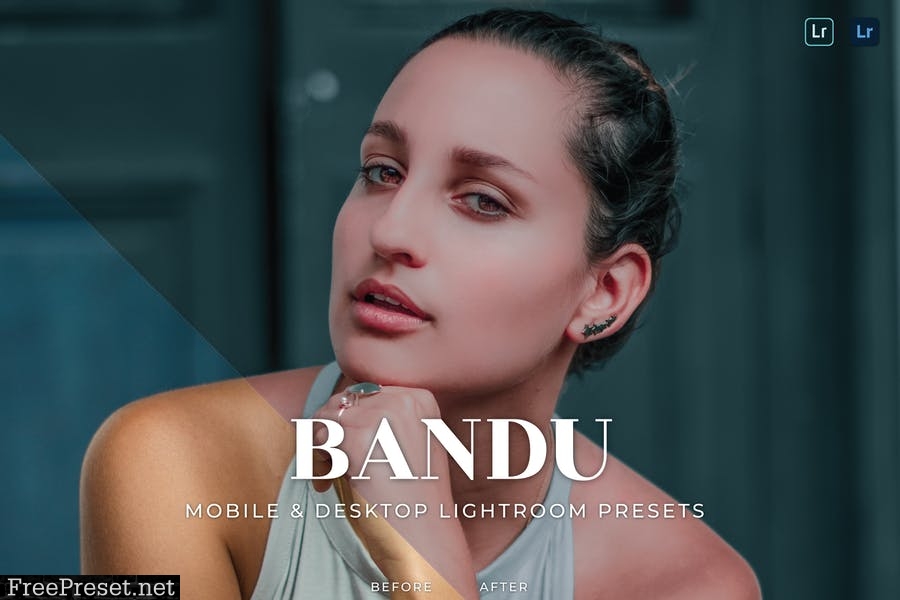 Bandu Mobile and Desktop Lightroom Presets