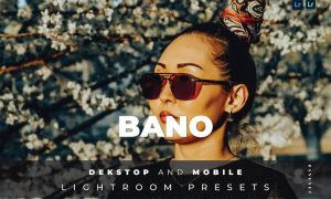 Bano Desktop and Mobile Lightroom Preset