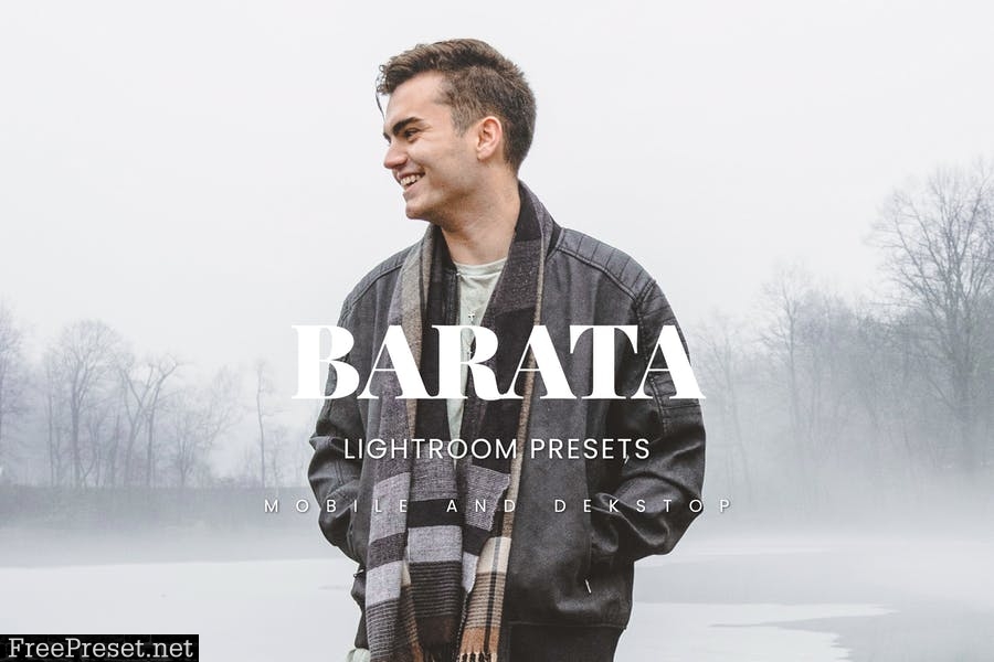 Barata Lightroom Presets Dekstop and Mobile