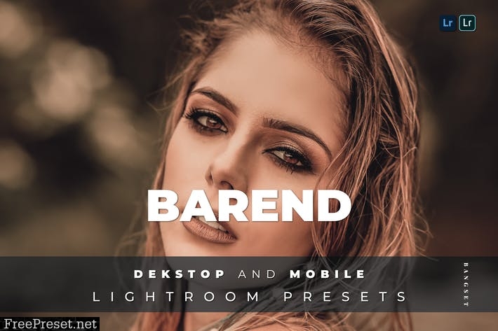 Barend Desktop and Mobile Lightroom Preset