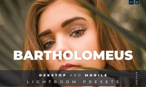 Bartholomeus Desktop and Mobile Lightroom Preset