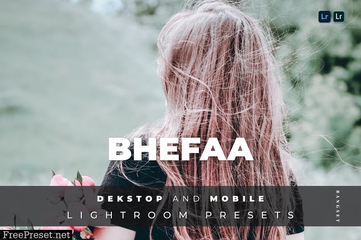 BheFaa Desktop and Mobile Lightroom Preset