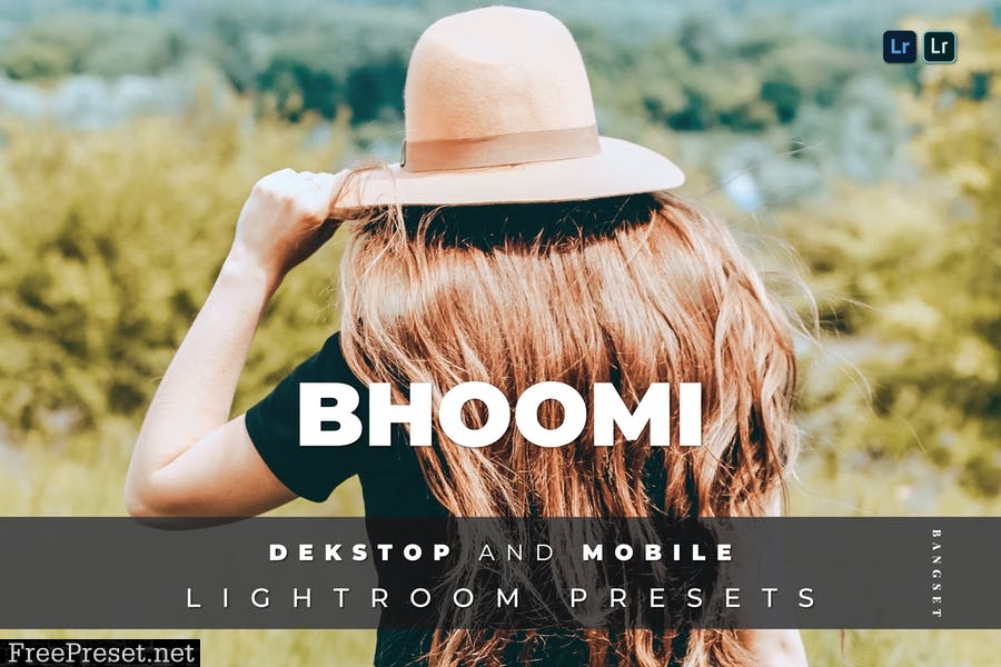 Bhoomi Desktop and Mobile Lightroom Preset