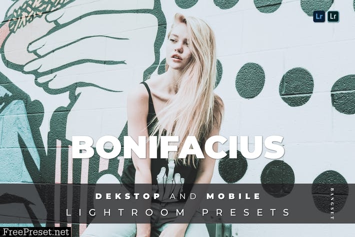 Bonifacius Desktop and Mobile Lightroom Preset