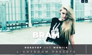 Bram Desktop and Mobile Lightroom Preset