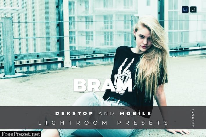 Bram Desktop and Mobile Lightroom Preset