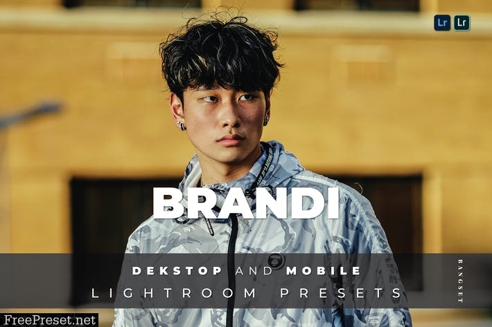 Brandi Desktop and Mobile Lightroom Preset