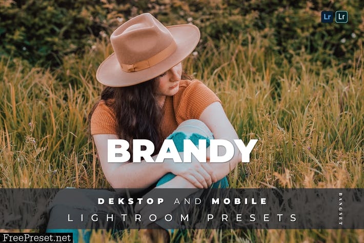 Brandy Desktop and Mobile Lightroom Preset