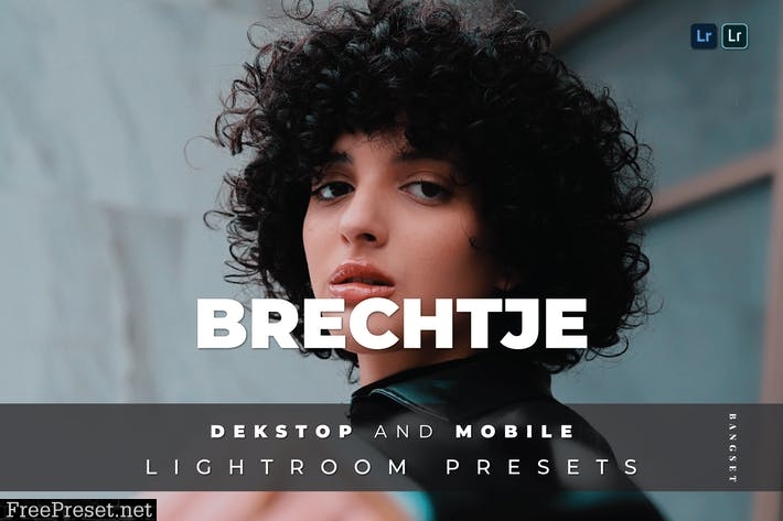 Brechtje Desktop and Mobile Lightroom Preset