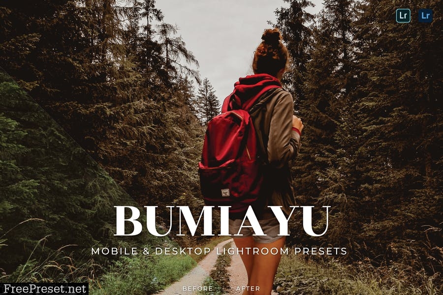 Bumiayu Mobile and Desktop Lightroom Presets