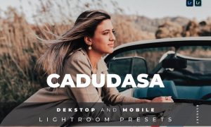 Cadudasa Desktop and Mobile Lightroom Preset