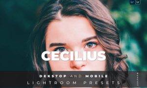 Cecilius Desktop and Mobile Lightroom Preset