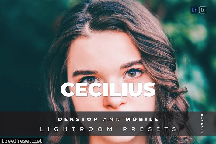 Cecilius Desktop and Mobile Lightroom Preset