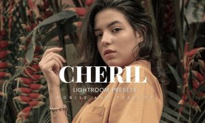 Cheril Lightroom Presets Dekstop and Mobile