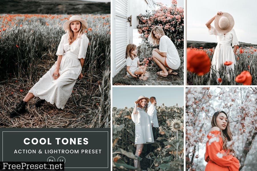 Cool Tones Action & Lightrom Presets