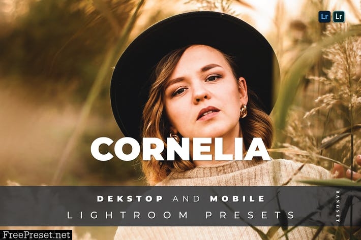 Cornelia Desktop and Mobile Lightroom Preset