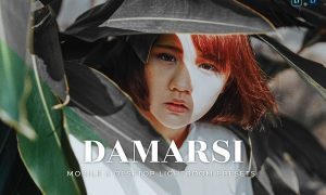 Damarsi Mobile and Desktop Lightroom Presets