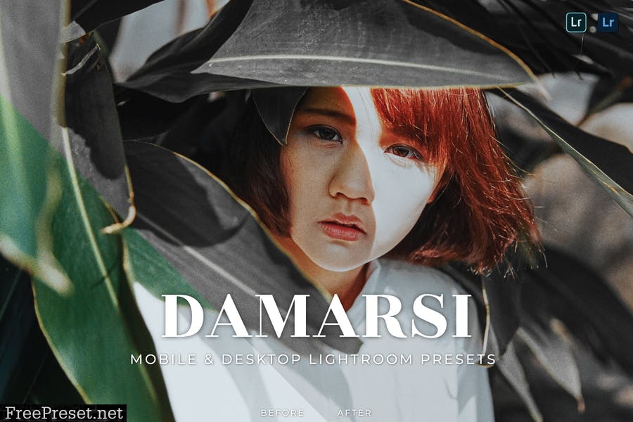 Damarsi Mobile and Desktop Lightroom Presets