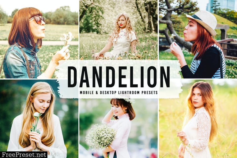 Dandelion Mobile & Desktop Lightroom Presets