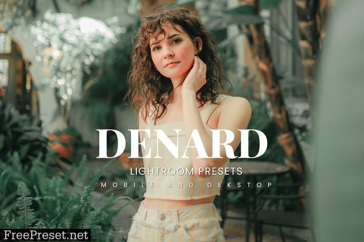 Denard Lightroom Presets Dekstop and Mobile