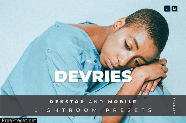 Devries Desktop and Mobile Lightroom Preset