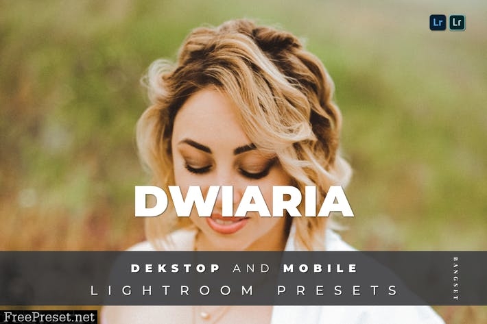 Dwiaria Desktop and Mobile Lightroom Preset
