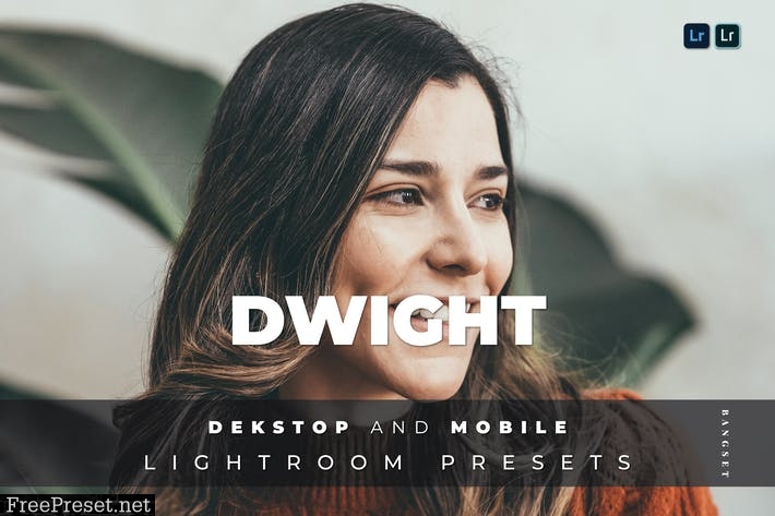 Dwight Desktop and Mobile Lightroom Preset