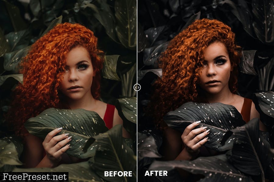 Earth Tones Action & Lightroom Preset