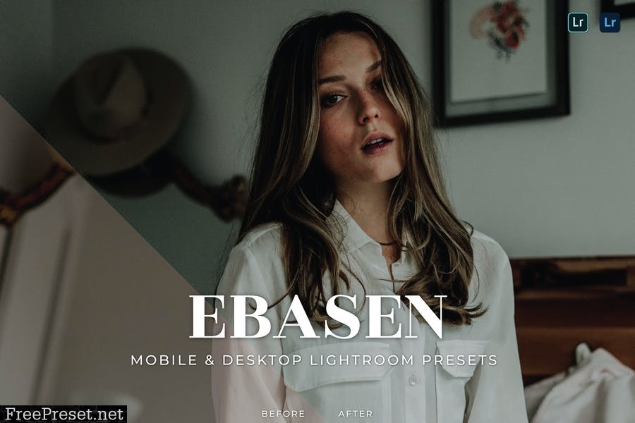 Ebasen Mobile and Desktop Lightroom Presets