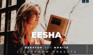 Eesha Desktop and Mobile Lightroom Preset