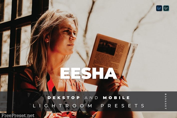 Eesha Desktop and Mobile Lightroom Preset