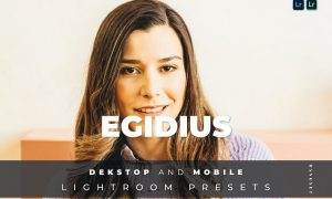 Egidius Desktop and Mobile Lightroom Preset